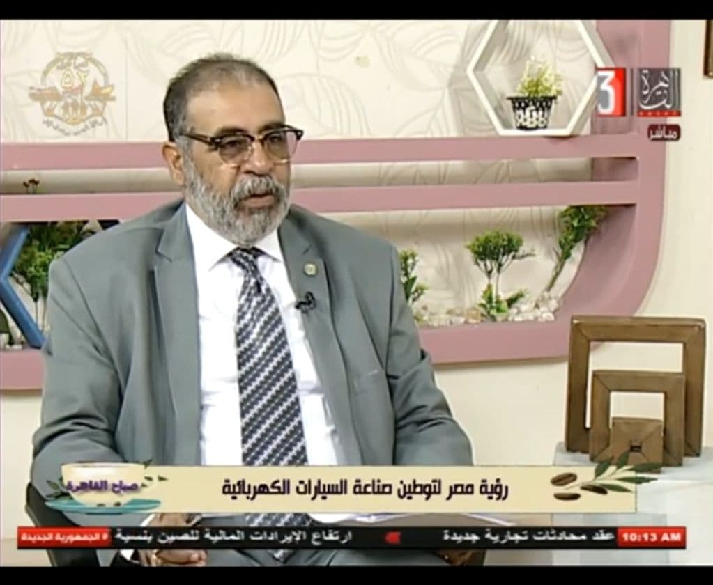 Alaa El Fanagely speaking at a conference